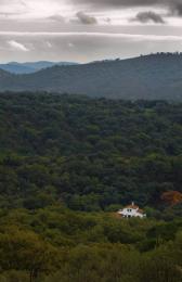 House in forest